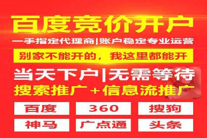 SEM主管实战：案例分析与优化策略